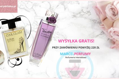 profesjonalna obsługa Facebook i instagram dla perfumerii internetowej